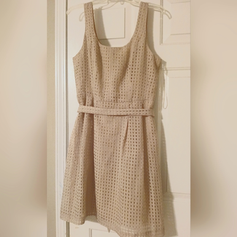 Anne Klein Beige Midi Textured Dress